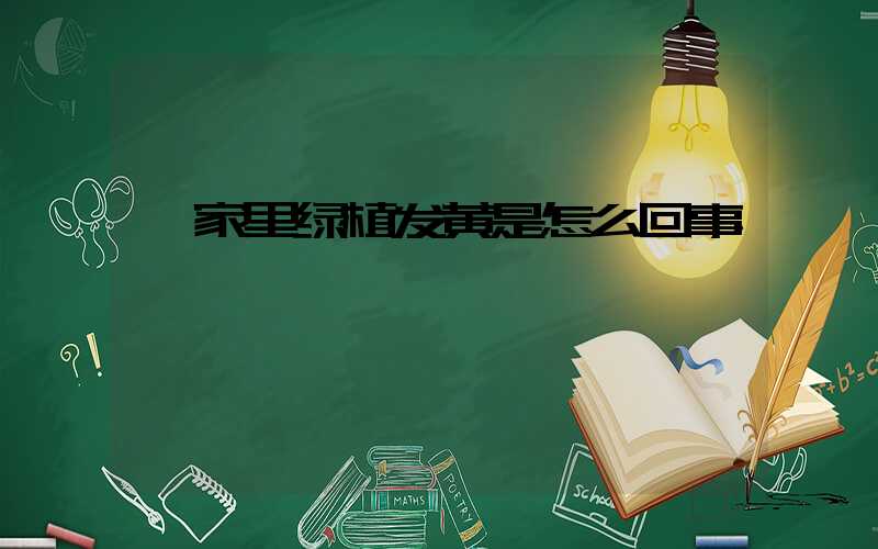  家里绿植发黄是怎么回事